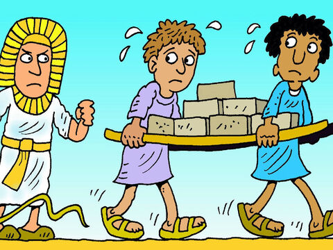 Los hijos de Israel crecieron hasta hacerse grandes y fuertes y tuvieron que trabajar duro para el Faraón. El rey Faraón dijo: “Exterminaré a todos los niños varones antes de que se vuelvan más fuertes que yo”. – Número de diapositiva 1