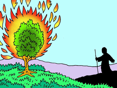 De repente, Moisés vio algo muy extraño a lo lejos. Un arbusto verde estaba en llamas, ¡pero no se consumía! – Número de diapositiva 4