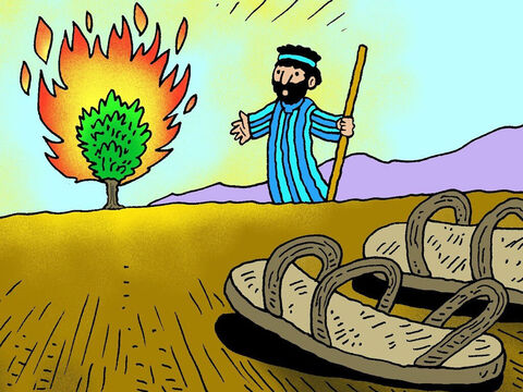 Dios le dijo: “¡Quítate las sandalias! Estás en tierra santa”. Entonces Moisés se quitó las sandalias y se acercó a mirar la zarza ardiente. – Número de diapositiva 6
