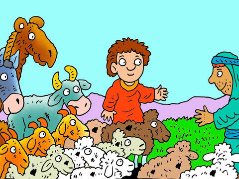 Jacob envió a sus siervos con varios rebaños de animales como regalo para Esaú: camellos, cabras, ovejas, vacas y asnos, todos con sus crías. – Número de diapositiva 6