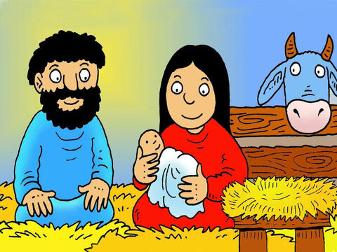 José y María llamaron al bebé Jesús, tal como les había indicado el ángel Gabriel. Lo envolvieron en una suave tela de lino y le hicieron una cama en un pesebre de heno. – Número de diapositiva 8