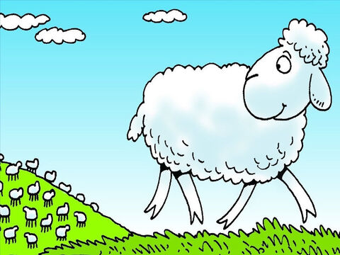 Cada día el pastor llevaba a sus ovejas a buscar nuevos pastos para comer. Un día, una ovejita se fue sola. – Número de diapositiva 3