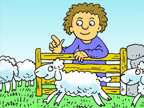 Esa noche, el pastor contó todas sus ovejas. ¡Solo había noventa y nueve! ¡Se había perdido una! – Número de diapositiva 4