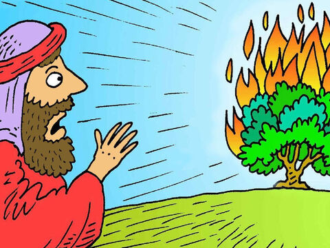 Un día, Moisés estaba cuidando a sus ovejas cuando vio un fuego en un pequeño arbusto. La zarza no se quemaba, así que Moisés  se acercó a mirar y Dios le habló desde la zarza ardiente. – Número de diapositiva 1