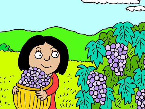 Trabaja bajo el ardiente sol, cuidando las uvas; podándolas y cosechándolas, para que sus sueños futuros se hagan realidad. – Número de diapositiva 7