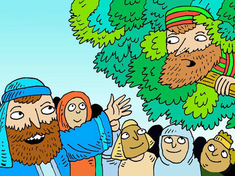 Jesús se detuvo bajo el árbol y miró hacia arriba. "Baja, Zaqueo", dijo Jesús. "Hoy voy a quedarme en tu casa". – Número de diapositiva 5