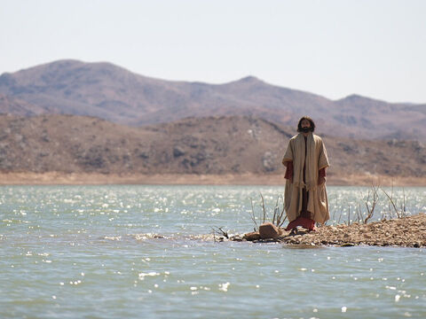 Es posible que fueran esos peces los que se pescaron cuando los discípulos recibieron la orden de Jesús de echar las redes al otro lado de la barca. – Número de diapositiva 4
