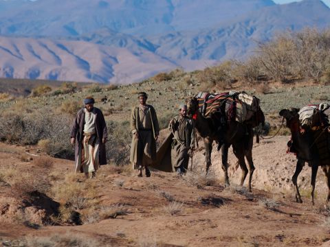 Entonces el siervo emprendió el largo viaje hacia el norte, hacia la región de Aram Haharaim y la ciudad de Nacor. Tomó diez camellos de Abraham cargados con toda clase de bienes y algunos otros sirvientes. – Número de diapositiva 4