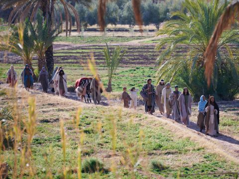 Jacob y su familia partieron hacia Egipto. En Beerseba, ofreció sacrificios a Dios. Dios le dijo a Jacob: “No tengas miedo de descender a Egipto, porque allí te convertiré en una gran nación. Bajaré a Egipto contigo y te traeré de regreso. Y la mano de José te cerrará los ojos”.<br/>Continuaron su viaje hacia Egipto. – Número de diapositiva 8