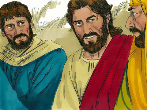 Judas, que estaba cerca de Jesús, preguntó:<br/>–¿Acaso te refieres a mí?<br/>Jesús respondió:<br/>–Tú lo has dicho. – Número de diapositiva 11