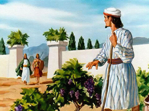 Muy emocionado por su nuevo descubrimiento, el rey Acab fue a ver al dueño de la viña, un hombre llamado Nabot. – Número de diapositiva 6