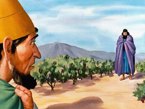 Entonces el rey Acab se fue a la viña. ¡Pero lo que vio hizo que su corazón se detuviera! Allí estaba Elías, ¡el severo profeta de Dios! – Número de diapositiva 31