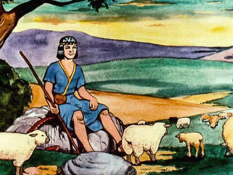 David era un niño pastor y gran parte de su niñez la pasó en el campo, cuidando de las ovejas de su padre. – Número de diapositiva 5