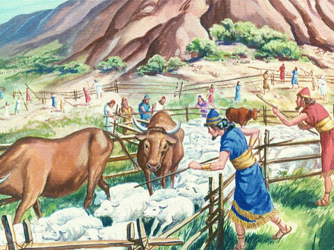 Primero, cercaron todo el ganado, porque Dios había advertido que incluso los animales morirían si tocaban el Monte Sagrado. – Número de diapositiva 12