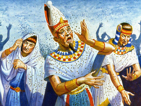 En otra ocasión, millones de moscas fueron enviadas para atormentar a los egipcios y aún así el Rey no se rindió. Pero Dios continuó tratando con Faraón para dejar ir a Su pueblo. – Número de diapositiva 8