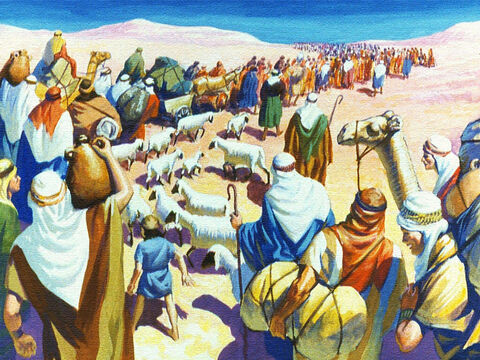 Qué espectáculo eran, toda una nación de personas, cientos de miles de ellos con su ganado y todas sus pertenencias esparcidos por el desierto. – Número de diapositiva 13