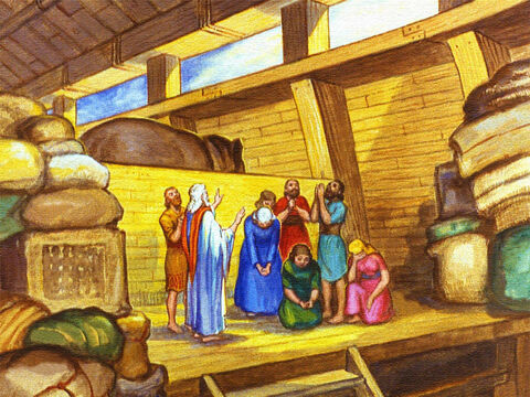 Todo este tiempo Noé y su familia simplemente esperaron en el Señor. – Número de diapositiva 28