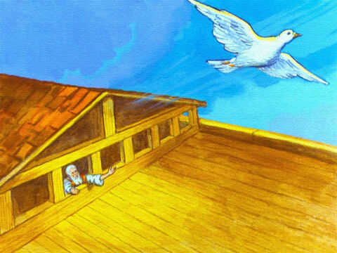 Pasaron siete días y Noé envió la paloma por segunda vez. – Número de diapositiva 42