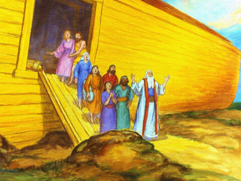 Efectivamente, poco después de eso, Dios le dijo a Noé que se llevara a su familia ... – Número de diapositiva 44
