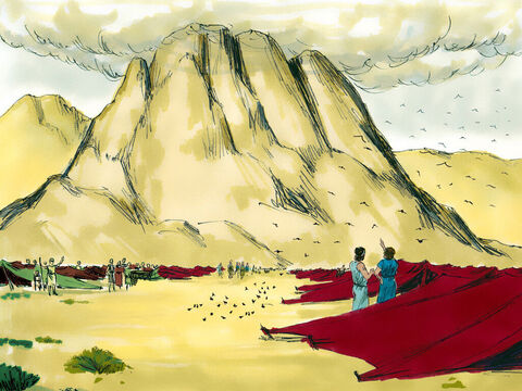 Con sus enemigos vencidos, Dios guió a su pueblo al pié del Monte Sinaí y allí acamparon. – Número de diapositiva 14