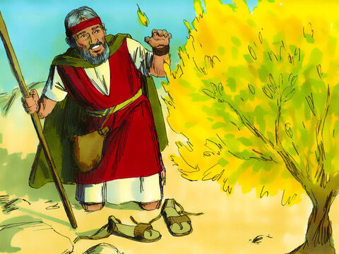 Dios le dijo a Moisés que se sacara los zapatos porque estaba en tierra santa.<br/>–Soy el Dios de Abraham, Isaac y Jacob –anunció Dios. <br/>Frente a esto, Moisés se ocultó el rostro porque tenía miedo de mirar a Dios. – Número de diapositiva 4