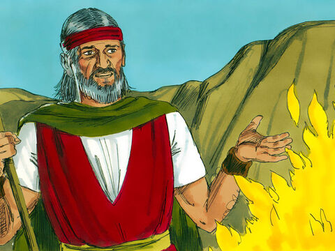 –Ve donde el Faraón y saca a mi pueblo de Egipto –indicó Dios.<br/>Moisés empezó a excusarse:<br/>–¿Quién soy yo para hacer esto? – Número de diapositiva 6