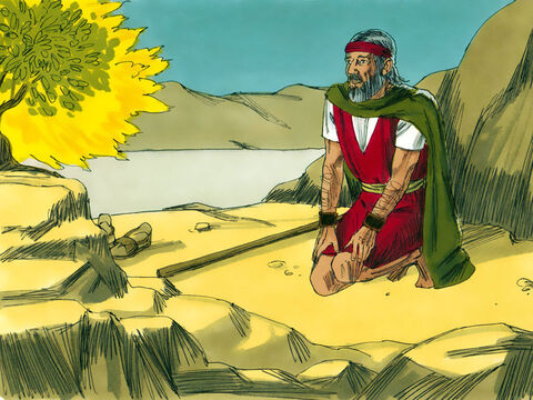 Dios le preguntó a Moisés qué era lo que llevaba en la mano.<br/>–Un báculo.<br/>–Arrójalo al suelo –dijo el Señor. – Número de diapositiva 12