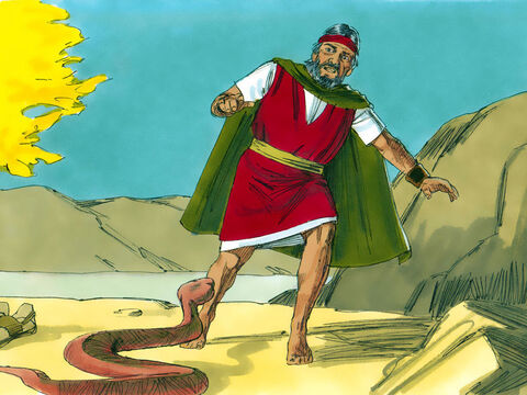 Cuando arrojó su báculo al suelo, se convirtió en una serpiente. Moisés se asustó y saltó para alejarse de ella. <br/>–Extiende tu mano y toma la serpiente por la cola –dijo el Señor. – Número de diapositiva 13
