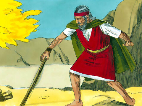 Cuando Moisés tomó la cola de la serpiente, se volvió a convertir en un báculo. <br/>–Este signo los ayudará a creer –dijo el Señor–. Ahora coloca la mano dentro de tu manto. – Número de diapositiva 14