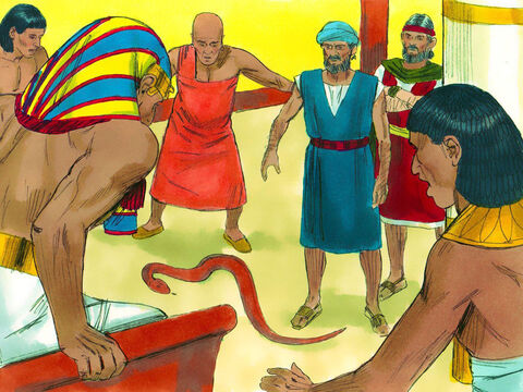 El Faraón les exigió a Moisés y a Aarón que le mostraran un milagro. Aarón arrojó su báculo al suelo y el báculo se convirtió en una serpiente. El Faraón llamó a sus hechiceros y hombres sabios. Ellos arrojaron sus báculos y los báculos también se convirtieron en serpientes. – Número de diapositiva 12