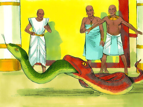 Pero la serpiente de Aarón se tragó a las otras serpientes. – Número de diapositiva 13