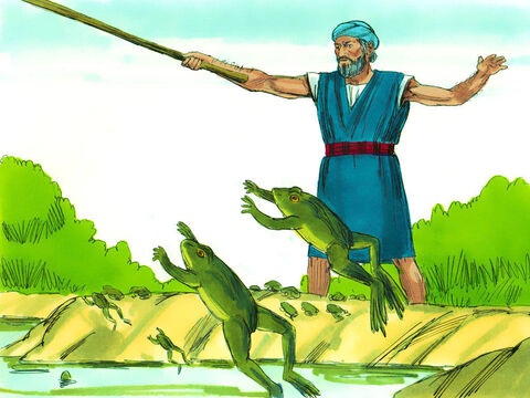 Éxodo 8: Siete días más tarde, Dios le dijo a Moisés que le diga Aarón que extienda su báculo sobre los arroyos, los canales y los estanques para hacer que las ranas salieran y ocuparan la tierra. – Número de diapositiva 4