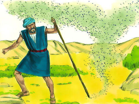 Entonces, Dios le dijo a Moisés que le diga a Aarón que golpee el polvo con su báculo y el polvo se convertiría en mosquitos. Los magos del Faraón trataron pero no pudieron hacer esto. <br/>–Esto viene de la mano de Dios –le dijeron al Faraón. – Número de diapositiva 9