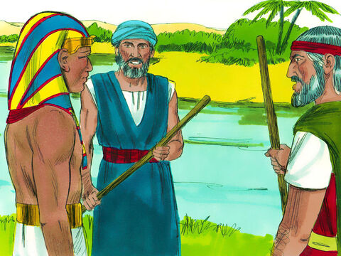 Dios envió a Moisés para que le dijera al Faraón que Él iba a mostrar su poder enviando el peor granizo en la historia de Egipto. Cualquiera que no se refugiara dentro, arriesgaría su vida. – Número de diapositiva 22