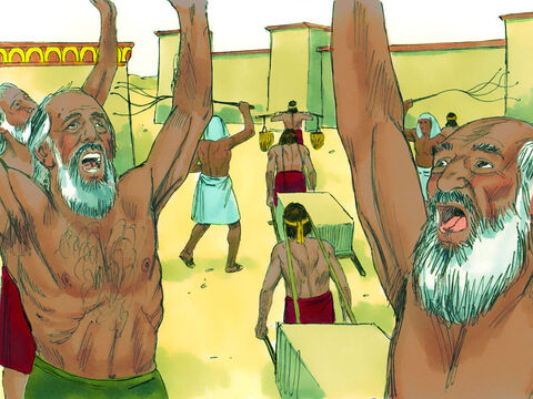 Éxodo 2 v 23-24: Algún tiempo más tarde, el Faraón murió y un nuevo Faraón subió al trono. Los esclavos hebreos clamaron a Dios pidiéndole que los rescatara. – Número de diapositiva 14