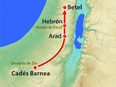 Los doce espías partieron de Cades Barnea y cruzaron el desierto Negev, donde vivían los amalecitas, y luego subieron por la región montañosa. – Número de diapositiva 5