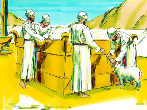 El altar se usaría para que las personas lleven un animal macho sin defecto (ganado, ovejas, cabras o aves, si eran pobres). Ellos debían colocar la mano sobre el animal para mostrar que se ofrecía para hacer las paces con Dios (Levítico 1:4). – Número de diapositiva 22