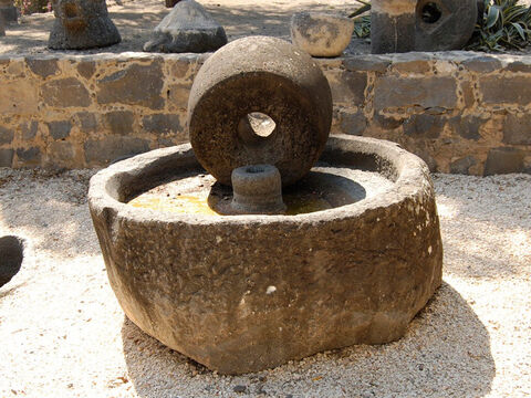 Esta es la prensa circular y la piedra de moler de basalto negro de los tiempos bíblicos encontrada en Capernaúm. – Número de diapositiva 12