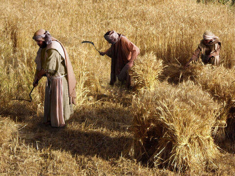 Lucas 15:11 El padre y sus dos hijos que trabajaban en sus campos. – Número de diapositiva 1