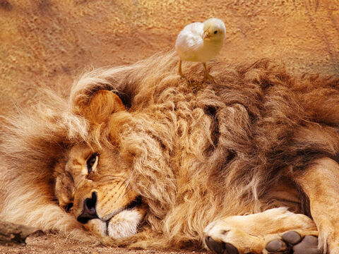 Sobre el león y la cobra pisarás; hollarás al cachorro de león y a la serpiente. <br />Crédito de la imagen: Marett. – Número de diapositiva 9