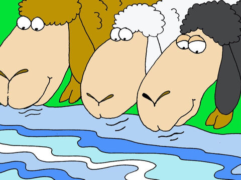 Junto a aguas de reposo me conduce. <br/>A las ovejas no les gusta beber el agua si corre o burbujea. Esto significa que Dios se preocupa por cada detalle de mis necesidades. – Número de diapositiva 3