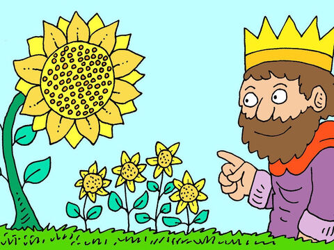El rey Salomón observó el ciclo de la vida, como las semillas que producen plantas, las que a su vez producen semillas para que crezcan nuevas plantas. Todo lo que la gente hace ahora se había hecho antes y se volverá a hacer en el futuro. – Número de diapositiva 6