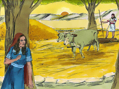 Ruth se dirigió al área de la trilla, donde Booz estaba trabajando, y se aseguró de que nadie la viera. – Número de diapositiva 2