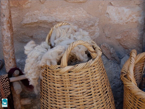 Las ovejas eran valoradas por los diversos productos que producían. La lana se utilizaba para hacer muchas prendas de vestir. Isaías compara los pecados perdonados con la blancura de la lana (Isaías 1:18). – Número de diapositiva 22
