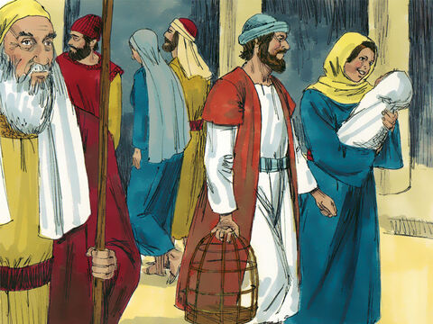 María y José regresaron a su casa. Jesús creció como un niño fuerte y robusto conocido por su sabiduría, que estaba más allá de su edad. Dios vertía sus bendiciones sobre él. – Número de diapositiva 8