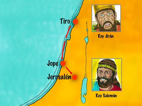 Cuando Salomón se convirtió en rey, le compró madera costosa al Rey Hiram de Tiro. Se reclutaron 30 000 trabajadores para cortar árboles por turnos en el Líbano. Enormes cedros y enebros se enviaron flotando por la costa hasta Joppa. – Número de diapositiva 3