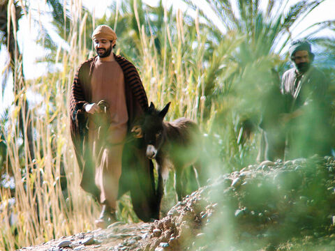 Los dos discípulos le llevaron el pollino a Jesús. – Número de diapositiva 7