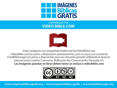 <p class="captionlinks"><a href="https://www.videobible.com" onclick="window.open(this.href);return false">Visita el sitio web de VideoBible</a></p>Número de diapositiva 16