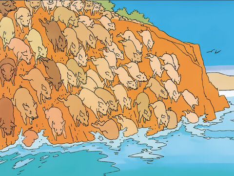 Los cerdos se precipitan por la empinada pendiente hacia el mar y se ahogan. – Número de diapositiva 12