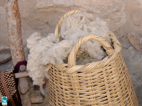 De las ovejas se recogían los vellones para hacer lana. – Número de diapositiva 6
